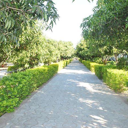 Gir Jungle Lodge Sasan Gir Luaran gambar